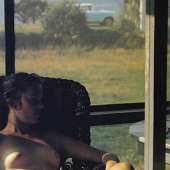 SaulLeiter_Lanesville