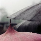 SaulLeiter_pink umbrella