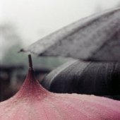 SaulLeiter_pink umbrella